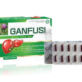 Ganfusi-02