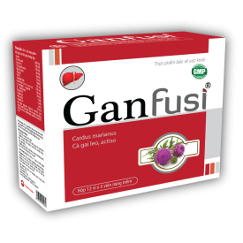 Gan Fusi